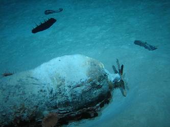 Torpedo on seabed
